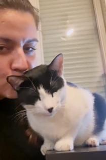 Snoopy Kater mit Charakter Charme sucht Traumzuhause
