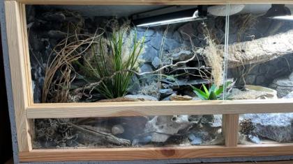 Leopardgecko Terrarium Zubehör