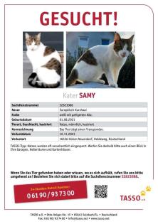 Kater Samy vermisst