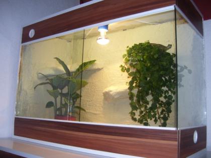 Terraartist Terrarienbau zum Spitzenpreis