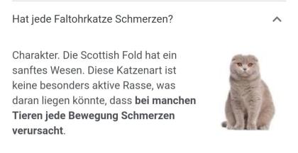 Hallo, ich bin ein Scottish Fold Kater und rassebedingt krank