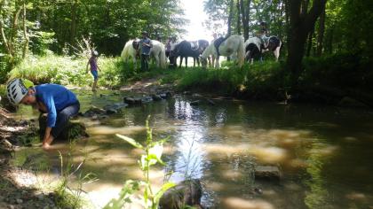 Kid s Kurs Pferdecamp, Reiterferien