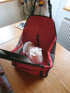 Hundtranstporttasche