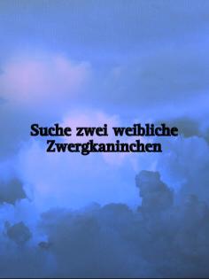Suche zwei weibliche Zwergkaninchen