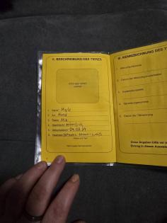 Meilo sucht dringend ein neues Zuhause
