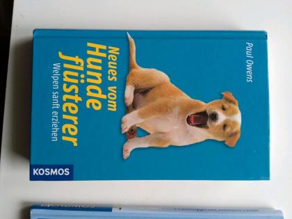 Buch Hundeerziehung Welpe Erziehung Ratgeber