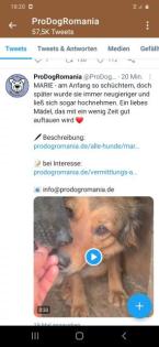 Wem dürfen wir treu zur Seite stehen