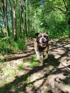 Junger OEB sucht dich