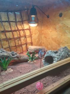Terrarium 120x60x60