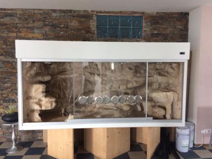 Terrarium im guten Zustand