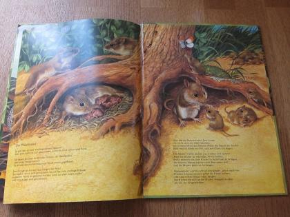 Tolles Tierbuch Wie kleine Tiere groß werden