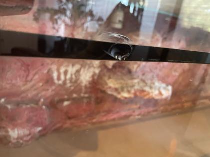 Glasterrarium 180x60x60