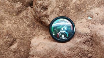 Bartagame mit Terrarium und Technik