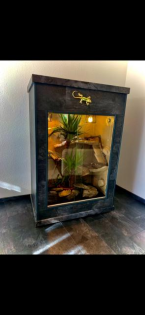 Grüner Leguan mit hochwertig verkleidetem Terrarium