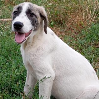 Bounty / Status sucht ein Zuhause