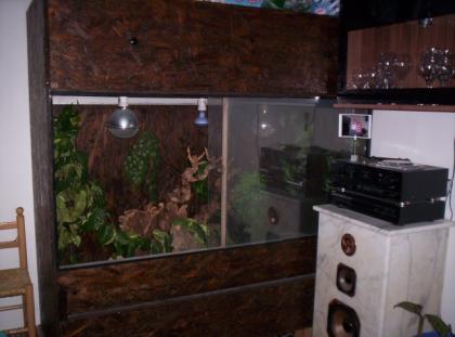 Terrarium 150x150x50