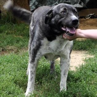 Elias / Status sucht ein Zuhause
