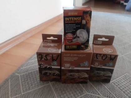 Komplettes Terrarium mit Leopardgecko