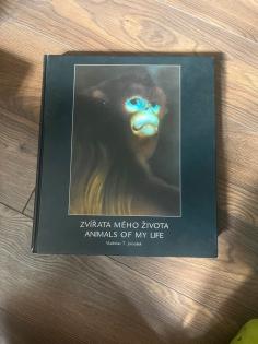XXL Tierbuch tieratlas