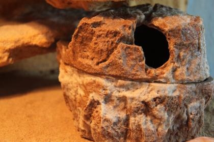 Wunderschönes Terrarium für Geckos mit Zubehör
