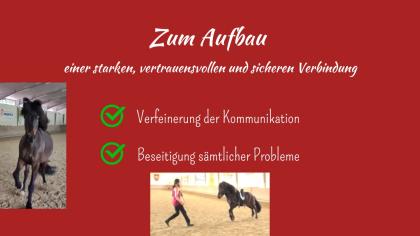 Vom Problem zur Freiheit durch absolute Verbundenheit