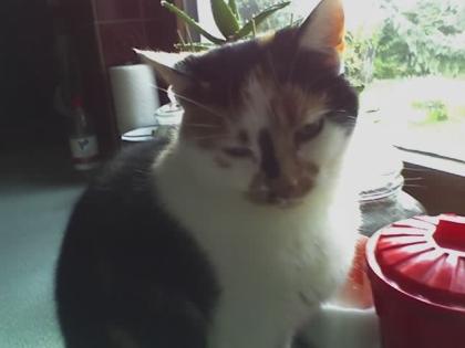 Mimmi ist weg
