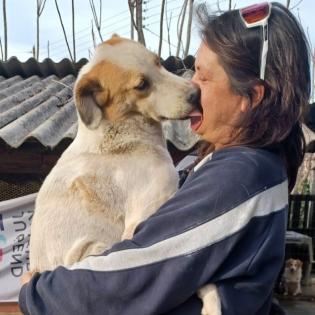 Simba / Status sucht ein Zuhause