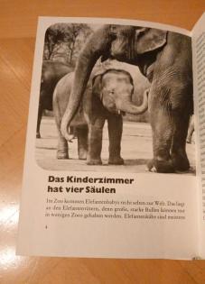 Wo kommen die kleinen Tiere her - Kinderbuch Tierbuch