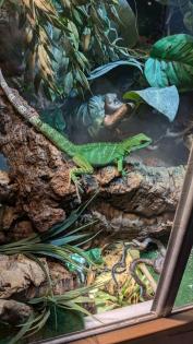 Wasseragame zu verkaufen. 50 Euro