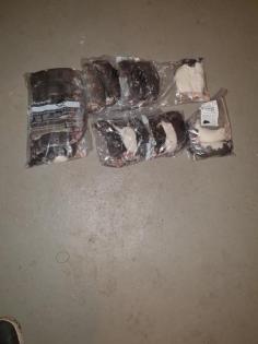 Ratten TK Frostfutter