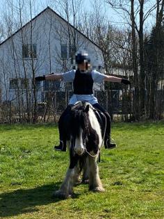 Reitbeteiligung Gesucht