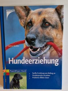 Grundschule für Hunde/ Hundeerziehung