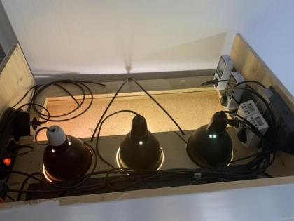 Terrarium für Chamäleon