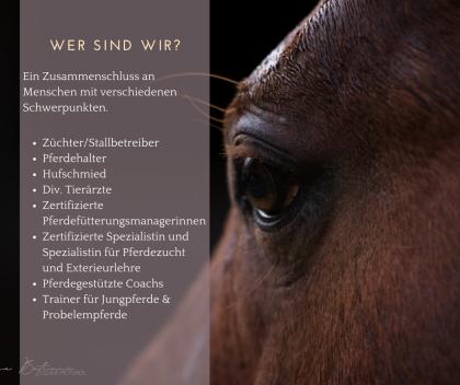 Pferdefütterung Teil 1, 2 und 3 in einem Online Kurs