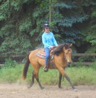 Quarterhorse Stute in traumfarbe und super cool