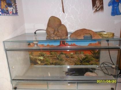 Terrarium Komplett 80 cm Lang mit Ausstattung. Wie Neu