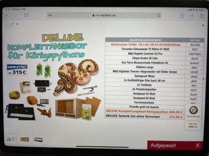 Königspython inklusiveTerrarium