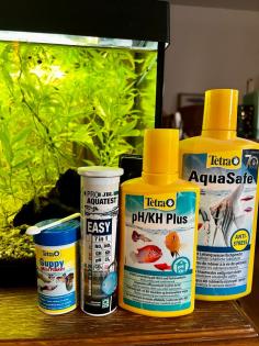 Aquarium mit Guppys und Garnelen inklusive Futter Zubehör