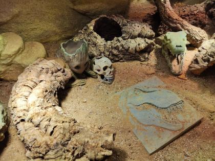 Bartagame m mit großem Terrarium, Quarantäneterrarium inkl. Beleuchtung und viel Zubehör