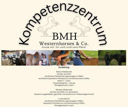 Kurse Rund ums Pferd - Weihnachtsaktion