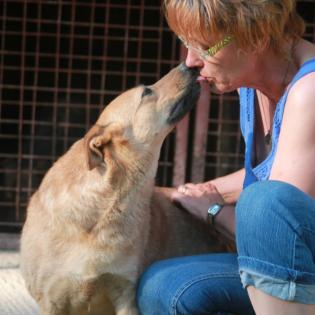 Roxy sucht ein Zuhause