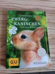 Zwergkaninchen