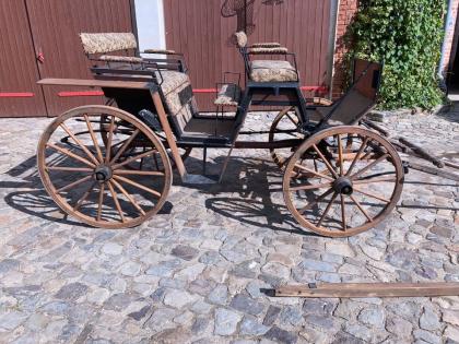 Pferdekutsche Kutsche Gespann einspännig, zweispännig Haflinger
