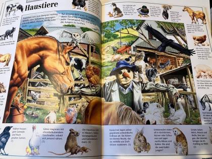 Das große Tierbuch über 4000 Tiere suchen und entdecken