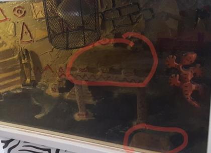 Terrarium für Reptilien in Ägypten Style