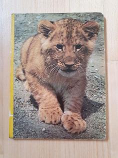 Mein erstes Tierbuch, Löwe Verlag