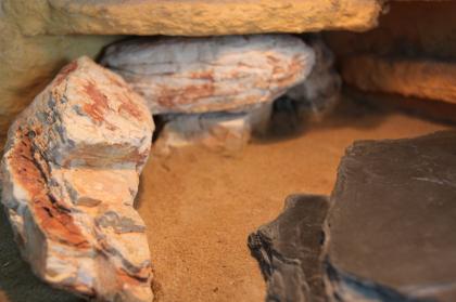 Wunderschönes Terrarium für Geckos mit Zubehör