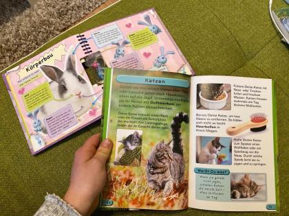 2 Tierbücher für Kinder Kaninchen Lieblingstiere
