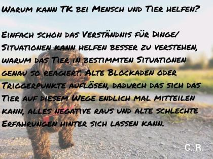 Tierkommunikation Telepathie Chrisi Reis