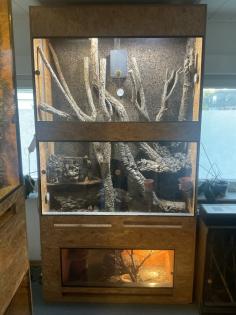 Haltungsaufgabe Kornnatter Terrarium Zubehör
